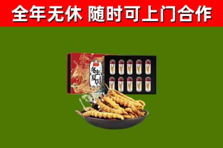 舞钢市回收冬虫夏草价格