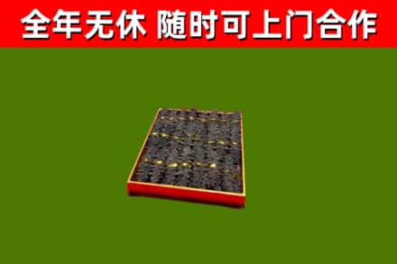 舞钢市回收海参